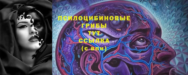 spice Беломорск