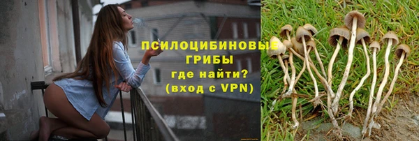 spice Беломорск