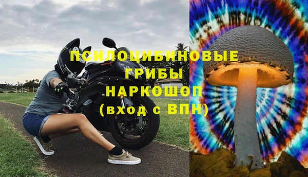 spice Беломорск