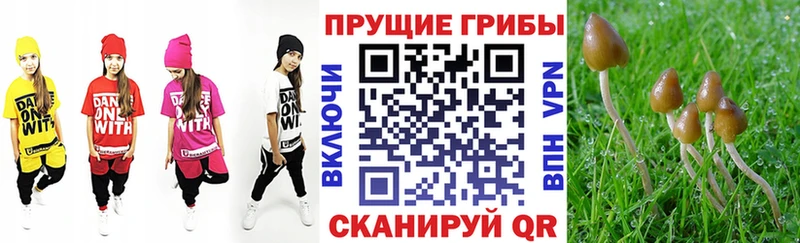 кракен онион  Давлеканово  shop формула  наркотики  Галлюциногенные грибы Cubensis 